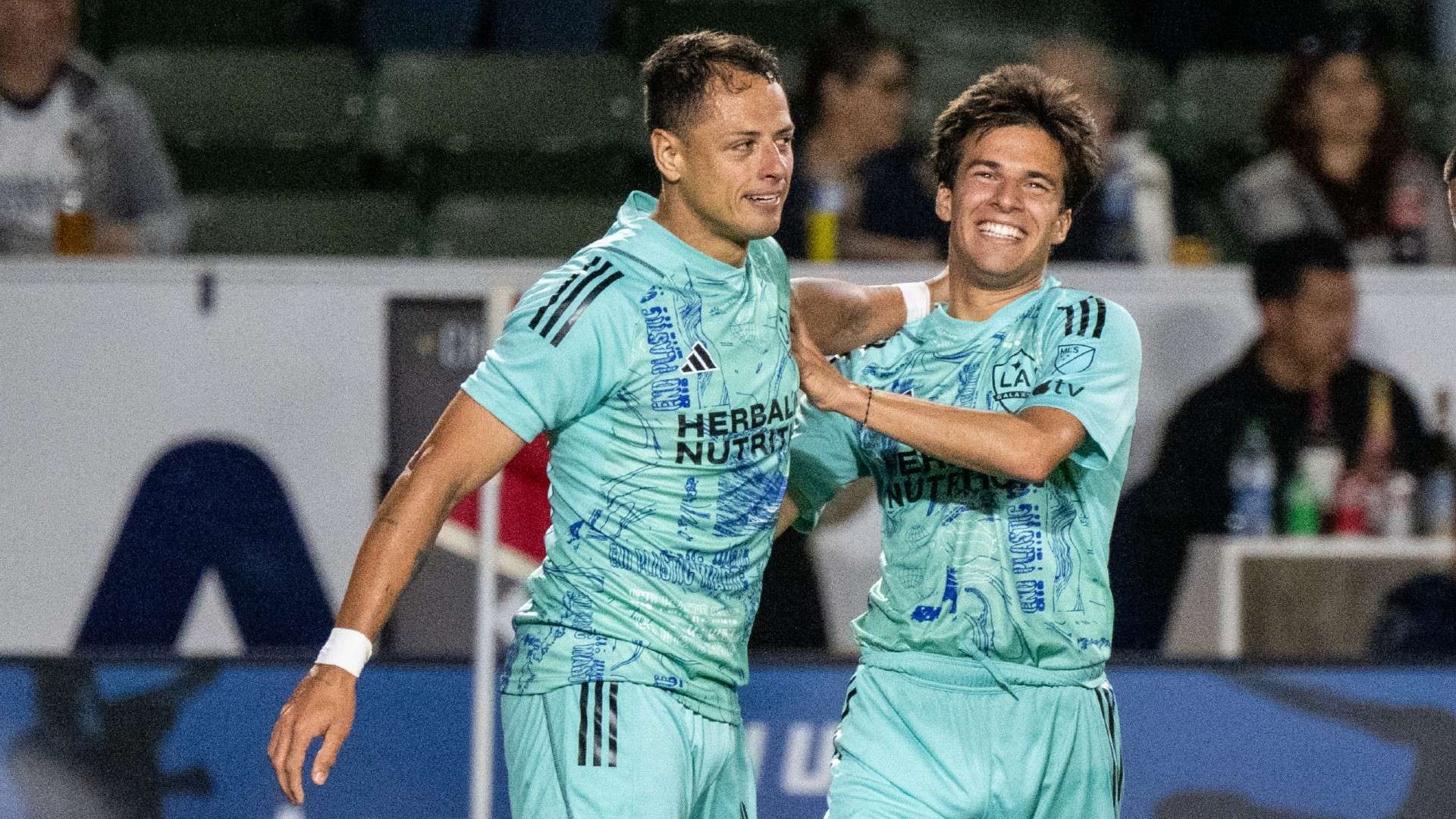 术和经验的 术和经验的